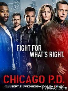 芝加哥警署 第四季,正义交锋，真相大白