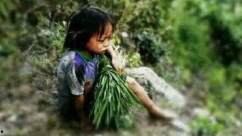 到老才知养女好,养女之恩，终身难忘