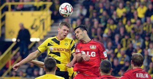 23-24赛季德甲第22轮：波鸿vs拜仁慕尼黑,拜仁强势逆转取胜