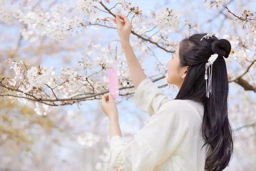 春迟未晚,时光静好，岁月如歌