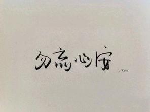 勿忘心安,探寻心灵宁静的力量