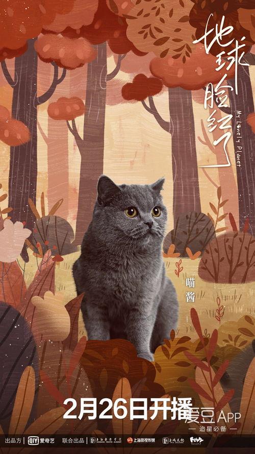 地球脸红了,揭秘全球变暖的警示与应对