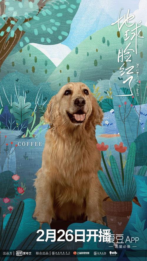 地球脸红了,揭秘全球变暖的警示与应对