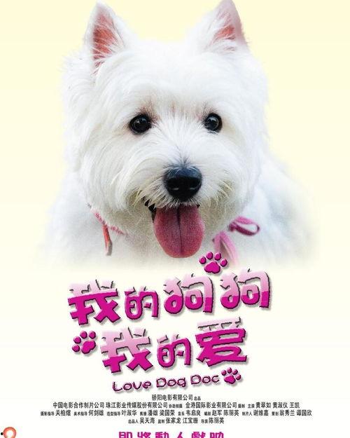 我的狗狗我的爱,我的永恒爱侣