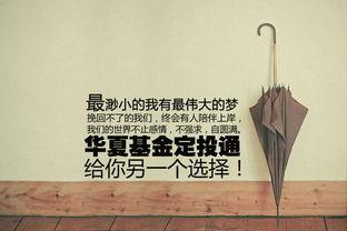 你我皆是摆渡人,共赴生命旅程的温暖陪伴