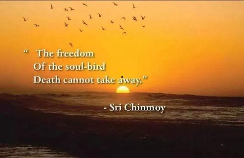 不惜一切,勇闯极限的壮丽征程