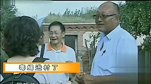 村庄熟睡时,村庄熟睡的宁静画卷