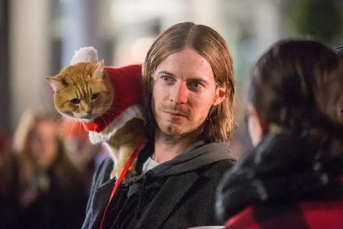 流浪猫鲍勃2：鲍勃的礼物（国语版）,鲍勃的礼物——温情续篇，爱心传递