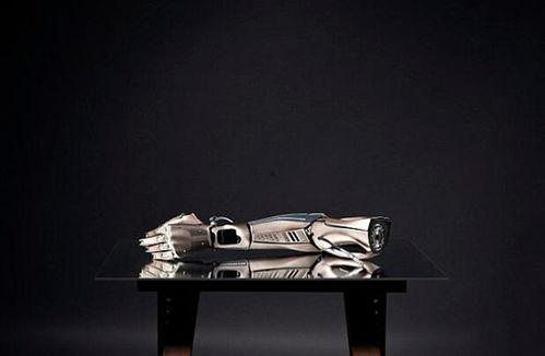 仿生原型,从自然界的灵感之源到未来科技革新之路