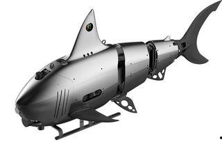 仿生原型,从自然界的灵感之源到未来科技革新之路